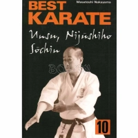 Best Karate 10