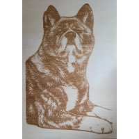 Duży Obraz, Zdjęcie Na Ścianę, Grawer 42x29,7 cm