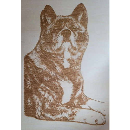Duży Obraz, Zdjęcie Na Ścianę, Grawer 42x29,7 cm