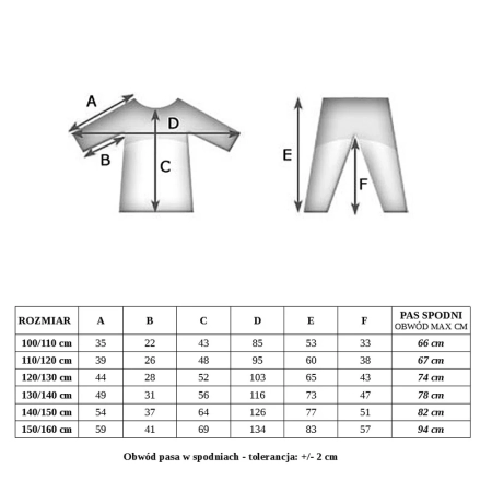 Judoga adidas Evolution II Niebieska J250BE