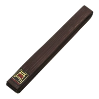 Pas Do Kimona Aikido Judo Karate BJJ 280 cm Brązowy