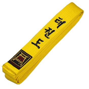 Pas Pasy Z Haftem Taekwondo 180 cm Żółty