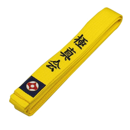 Pasy Do Kyokushin Karate 220 cm Żółty