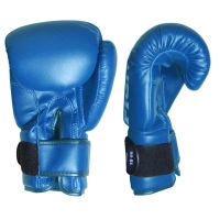 Rękawice Bokserskie Dla Dzieci 10 oz Blue